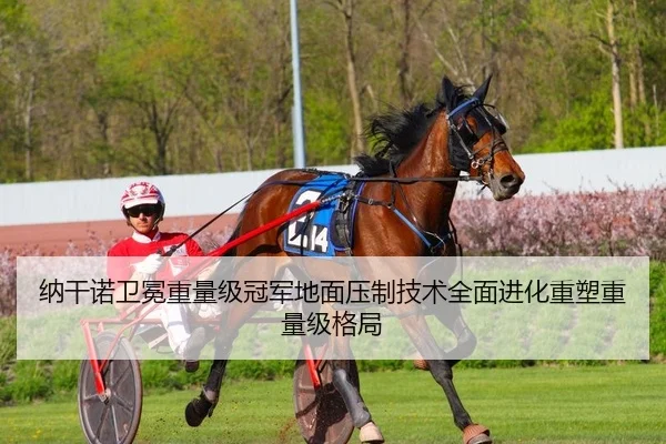 纳干诺卫冕重量级冠军地面压制技术全面进化重塑重量级格局